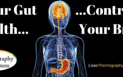 Does Gut Health Control Your Brain?