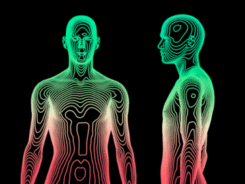 The BIG Picture: The Unique Contribution of Thermography